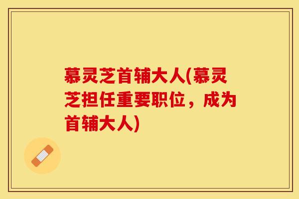 慕灵芝首辅大人(慕灵芝担任重要职位，成为首辅大人)