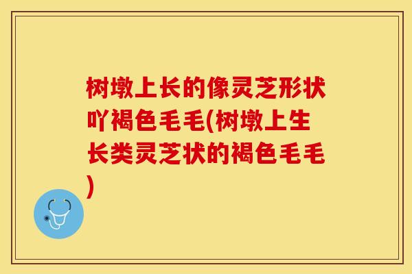树墩上长的像灵芝形状吖褐色毛毛(树墩上生长类灵芝状的褐色毛毛)