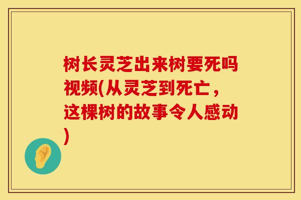 树长灵芝出来树要死吗视频(从灵芝到死亡，这棵树的故事令人感动)