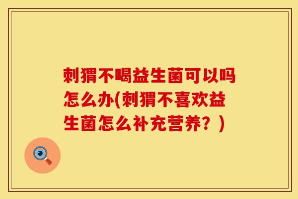 刺猬不喝益生菌可以吗怎么办(刺猬不喜欢益生菌怎么补充营养?) 刺猬不喝益生菌可以吗怎么办(刺猬不喜欢益生菌怎么补充营养?)
