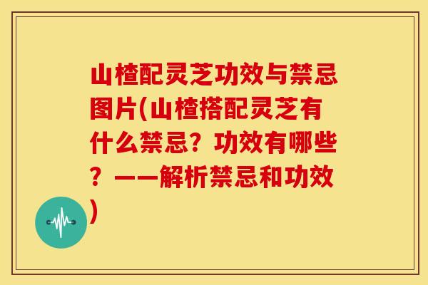 山楂配灵芝功效与禁忌图片(山楂搭配灵芝有什么禁忌？功效有哪些？——解析禁忌和功效)