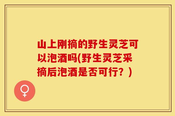 山上刚摘的野生灵芝可以泡酒吗(野生灵芝采摘后泡酒是否可行？)
