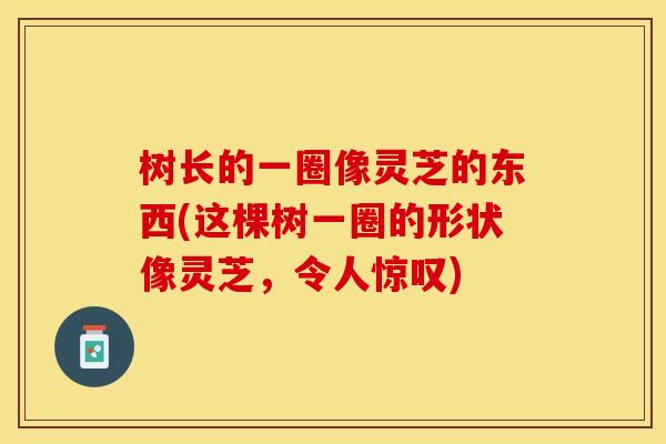 树长的一圈像灵芝的东西(这棵树一圈的形状像灵芝，令人惊叹)