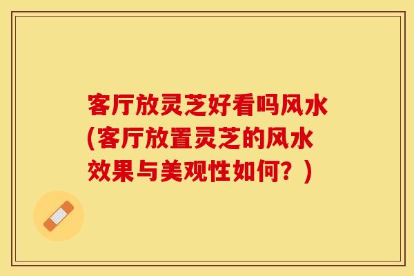 客厅放灵芝好看吗风水(客厅放置灵芝的风水效果与美观性如何？)