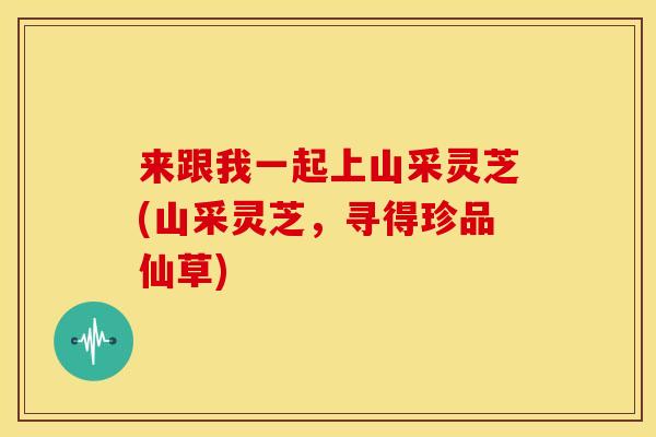 来跟我一起上山采灵芝(山采灵芝，寻得珍品仙草)