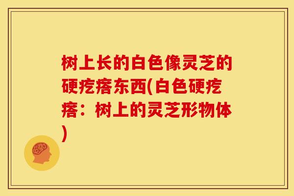 树上长的白色像灵芝的硬疙瘩东西(白色硬疙瘩：树上的灵芝形物体)