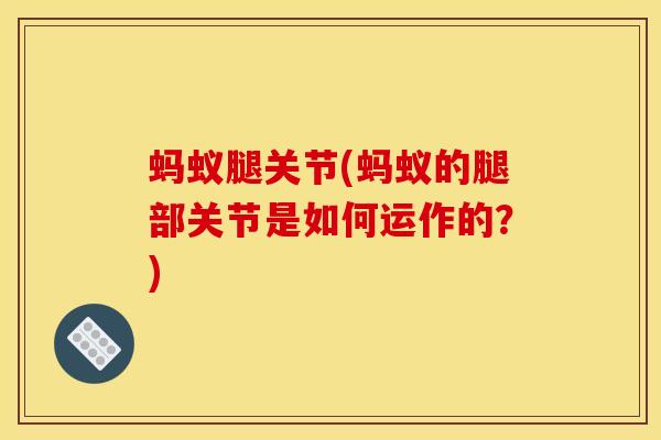 蚂蚁腿关节(蚂蚁的腿部关节是如何运作的？)