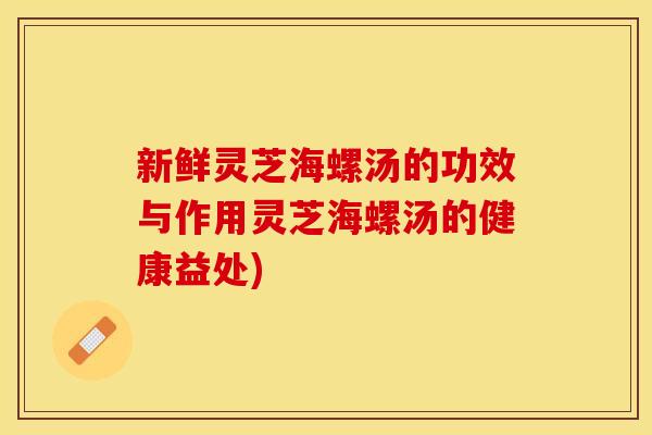 新鲜灵芝海螺汤的功效与作用灵芝海螺汤的健康益处)