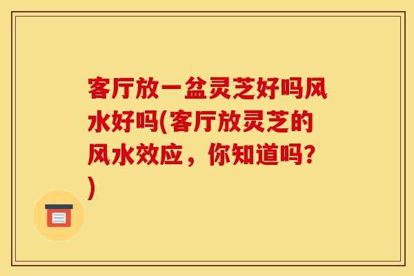 客厅放一盆灵芝好吗风水好吗(客厅放灵芝的风水效应，你知道吗？)