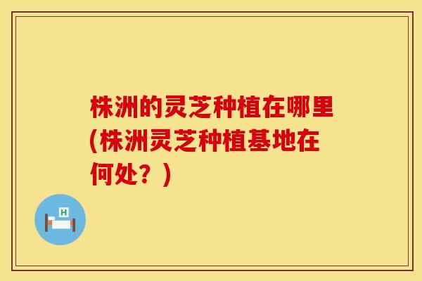 株洲的灵芝种植在哪里(株洲灵芝种植基地在何处？)