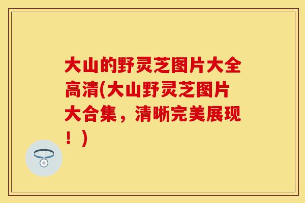 大山的野灵芝图片大全高清(大山野灵芝图片大合集，清晰完美展现！)