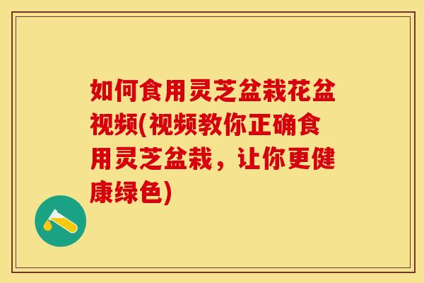 如何食用灵芝盆栽花盆视频(视频教你正确食用灵芝盆栽，让你更健康绿色)