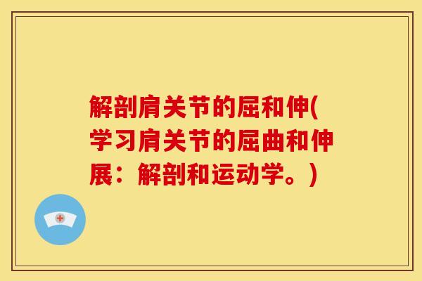 解剖肩关节的屈和伸(学习肩关节的屈曲和伸展：解剖和运动学。)