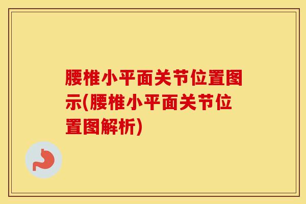 腰椎小平面关节位置图示(腰椎小平面关节位置图解析)