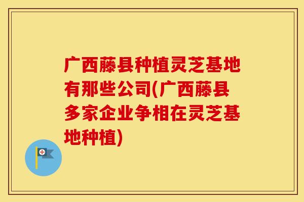广西藤县种植灵芝基地有那些公司(广西藤县多家企业争相在灵芝基地种植) 广西藤县种植灵芝基地有那些公司(广西藤县多家企业争相在灵芝基地种植)