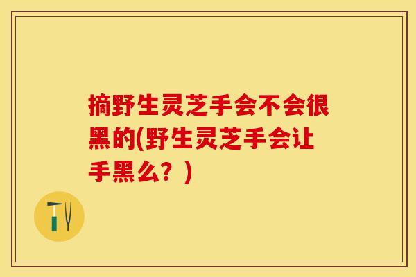 摘野生灵芝手会不会很黑的(野生灵芝手会让手黑么？)