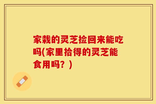 家栽的灵芝捡回来能吃吗(家里拾得的灵芝能食用吗？)