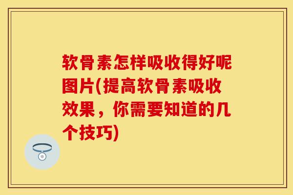 软骨素怎样吸收得好呢图片(提高软骨素吸收效果，你需要知道的几个技巧)