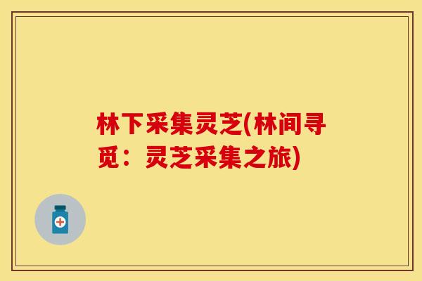 林下采集灵芝(林间寻觅：灵芝采集之旅)