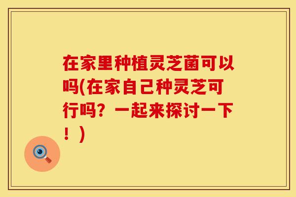 在家里种植灵芝菌可以吗(在家自己种灵芝可行吗？一起来探讨一下！)