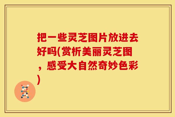 把一些灵芝图片放进去好吗(赏析美丽灵芝图，感受大自然奇妙色彩)