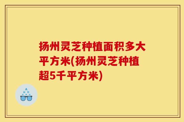 扬州灵芝种植面积多大平方米(扬州灵芝种植超5千平方米)