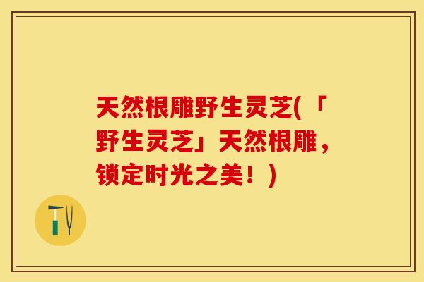 天然根雕野生灵芝(「野生灵芝」天然根雕，锁定时光之美！)