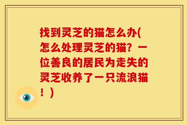 找到灵芝的猫怎么办(怎么处理灵芝的猫?一位善良的居民为走失的灵芝收养了一只流浪猫!) 找到灵芝的猫怎么办(怎么处理灵芝的猫?一位善良的居民为走失的灵芝收养了一只流浪猫!)