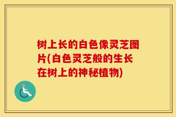 树上长的白色像灵芝图片(白色灵芝般的生长在树上的神秘植物)
