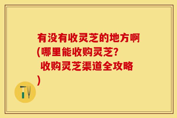 有没有收灵芝的地方啊(哪里能收购灵芝？  收购灵芝渠道全攻略)