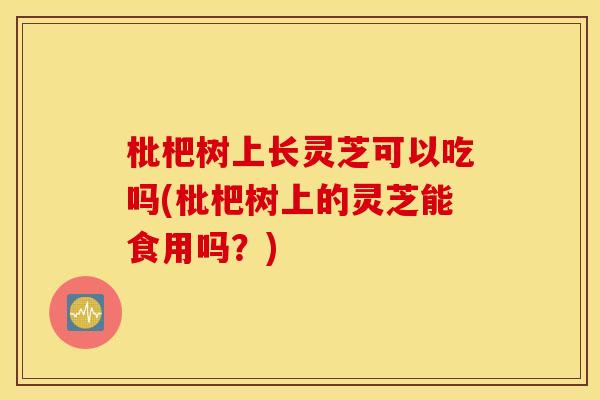 枇杷树上长灵芝可以吃吗(枇杷树上的灵芝能食用吗？)