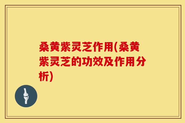 桑黄紫灵芝作用(桑黄紫灵芝的功效及作用分析)
