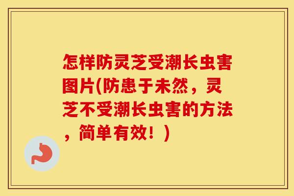 怎样防灵芝受潮长虫害图片(防患于未然，灵芝不受潮长虫害的方法，简单有效！)