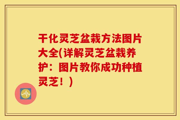 干化灵芝盆栽方法图片大全(详解灵芝盆栽养护：图片教你成功种植灵芝！)