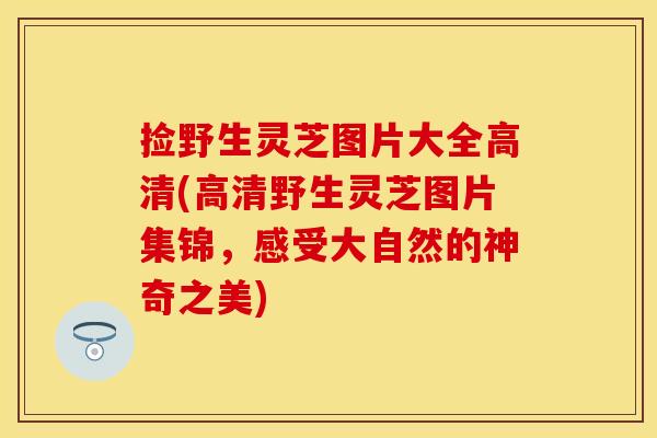 捡野生灵芝图片大全高清(高清野生灵芝图片集锦，感受大自然的神奇之美)