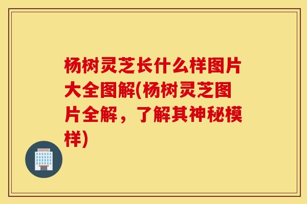 杨树灵芝长什么样图片大全图解(杨树灵芝图片全解，了解其神秘模样)