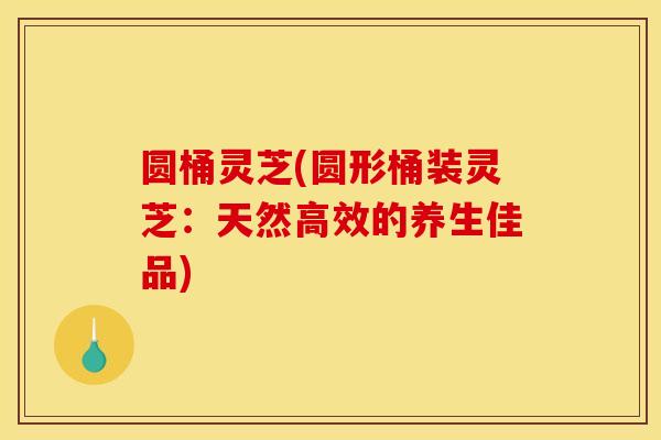 圆桶灵芝(圆形桶装灵芝：天然高效的养生佳品)