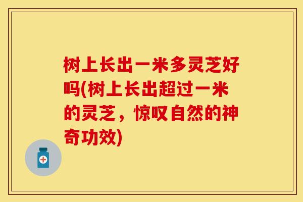 树上长出一米多灵芝好吗(树上长出超过一米的灵芝，惊叹自然的神奇功效)