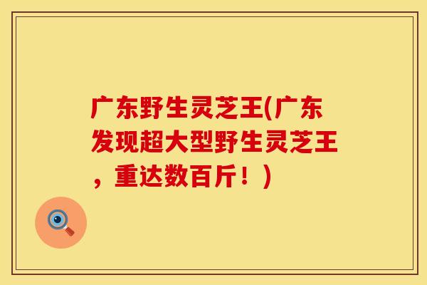 广东野生灵芝王(广东发现超大型野生灵芝王，重达数百斤！)