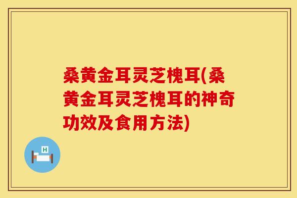 桑黄金耳灵芝槐耳(桑黄金耳灵芝槐耳的神奇功效及食用方法)