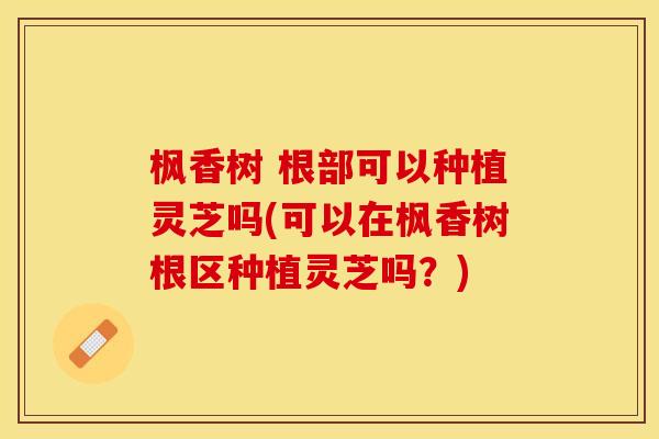 枫香树 根部可以种植灵芝吗(可以在枫香树根区种植灵芝吗？)