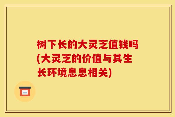 树下长的大灵芝值钱吗(大灵芝的价值与其生长环境息息相关)