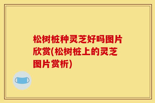 松树桩种灵芝好吗图片欣赏(松树桩上的灵芝图片赏析)