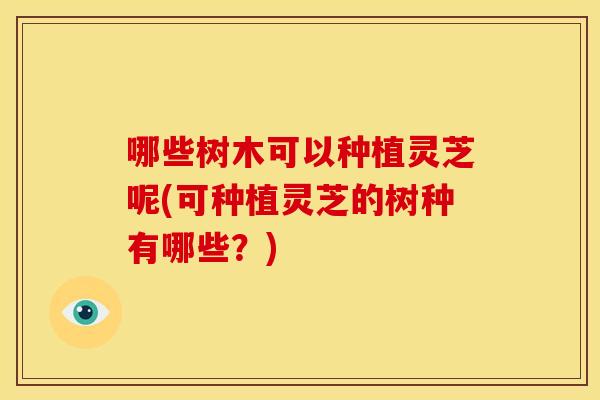 哪些树木可以种植灵芝呢(可种植灵芝的树种有哪些？)