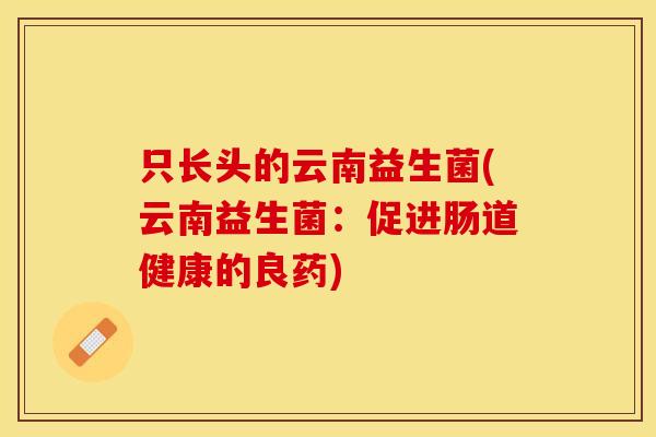 只长头的云南益生菌(云南益生菌:促进肠道健康的良药) 只长头的云南益生菌(云南益生菌:促进肠道健康的良药)