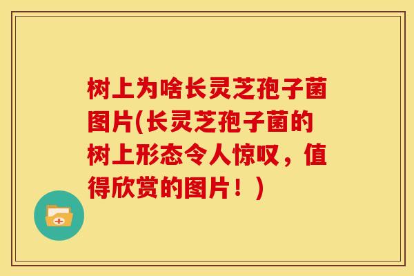 树上为啥长灵芝孢子菌图片(长灵芝孢子菌的树上形态令人惊叹，值得欣赏的图片！)