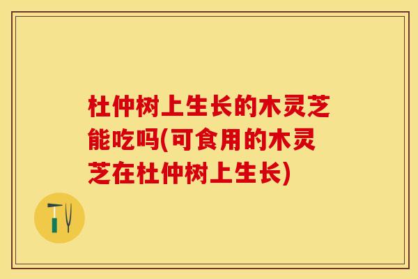 杜仲树上生长的木灵芝能吃吗(可食用的木灵芝在杜仲树上生长)