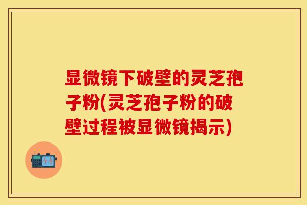 显微镜下破壁的灵芝孢子粉(灵芝孢子粉的破壁过程被显微镜揭示)
