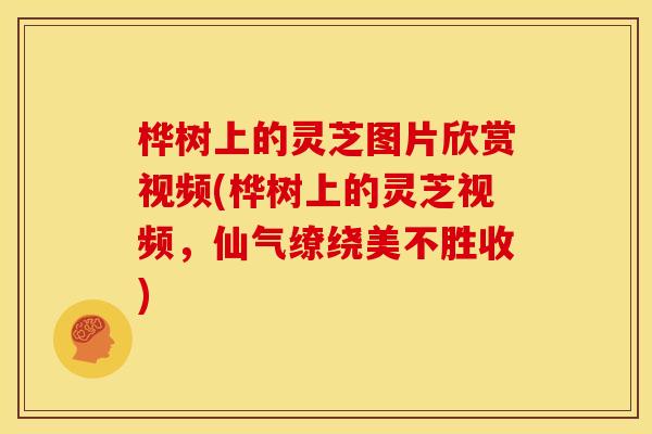 桦树上的灵芝图片欣赏视频(桦树上的灵芝视频，仙气缭绕美不胜收)