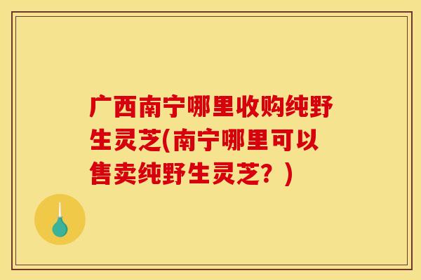 广西南宁哪里收购纯野生灵芝(南宁哪里可以售卖纯野生灵芝？)